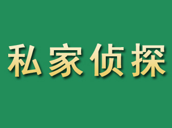 九龙坡市私家正规侦探