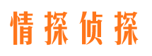 九龙坡找人公司